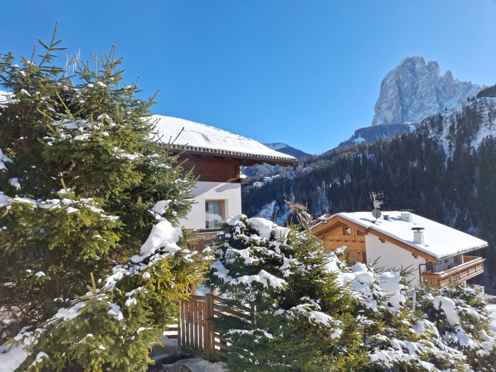 Apartments Insam Santa Cristina Val Gardena Extérieur photo